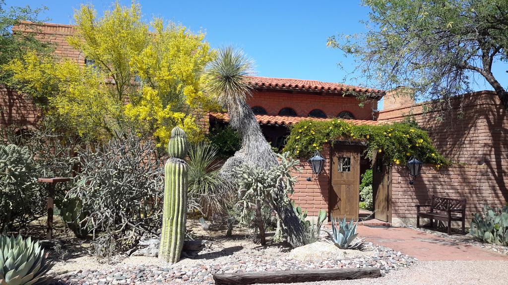 Desert Trails Bed & Breakfast Tanque Verde Esterno foto